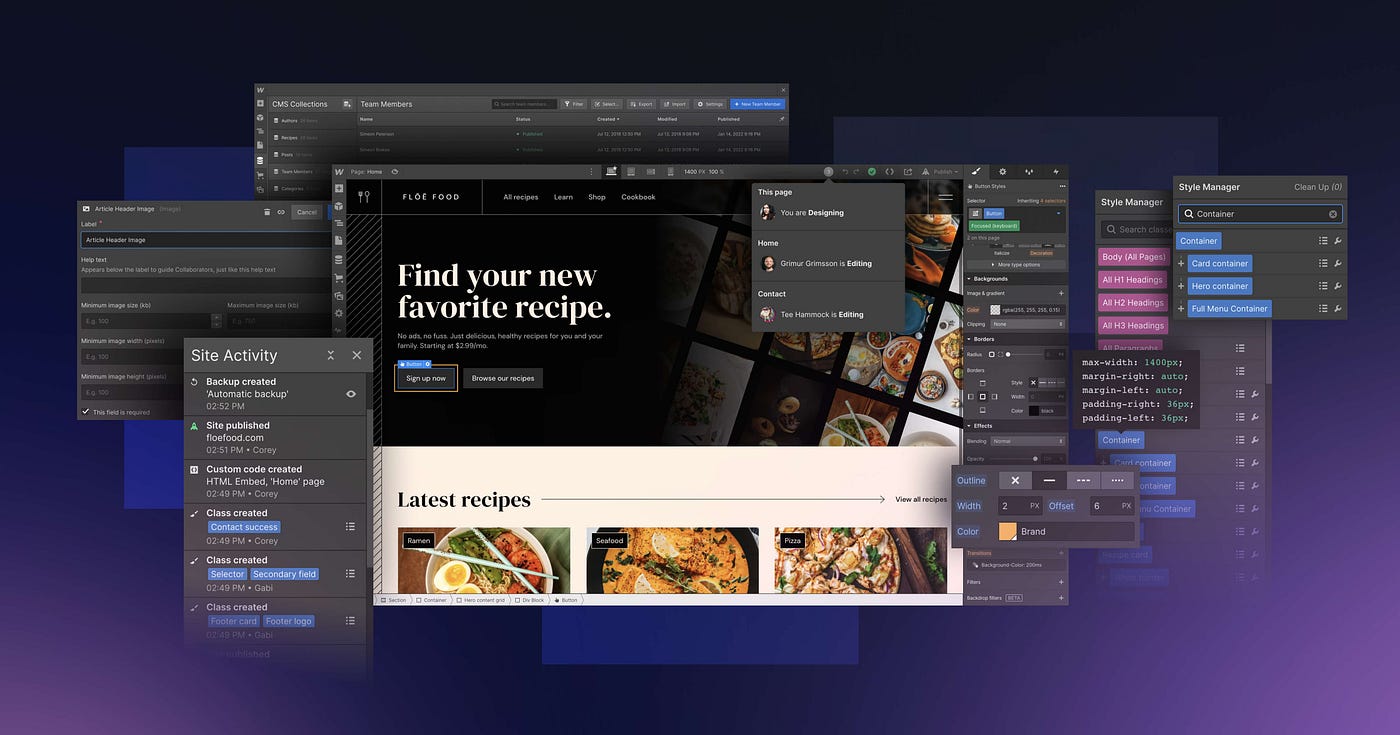 Preview images of Webflow interface