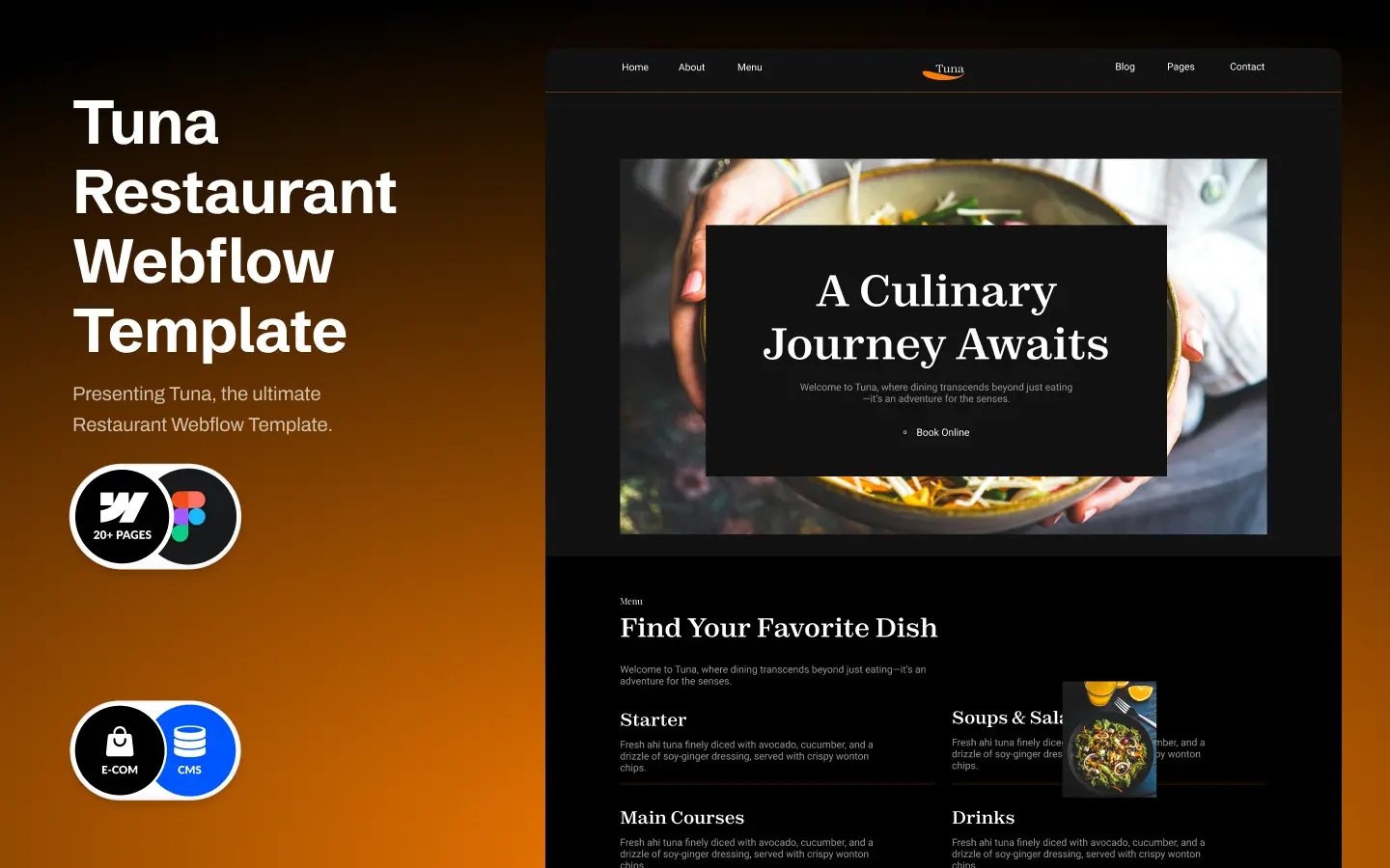 Elora portfolio template designed with Modulify and Webflow