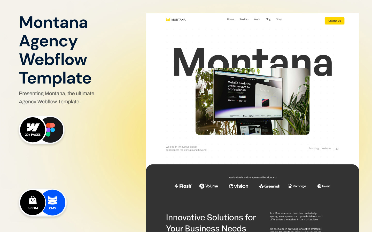 Montana preview 1