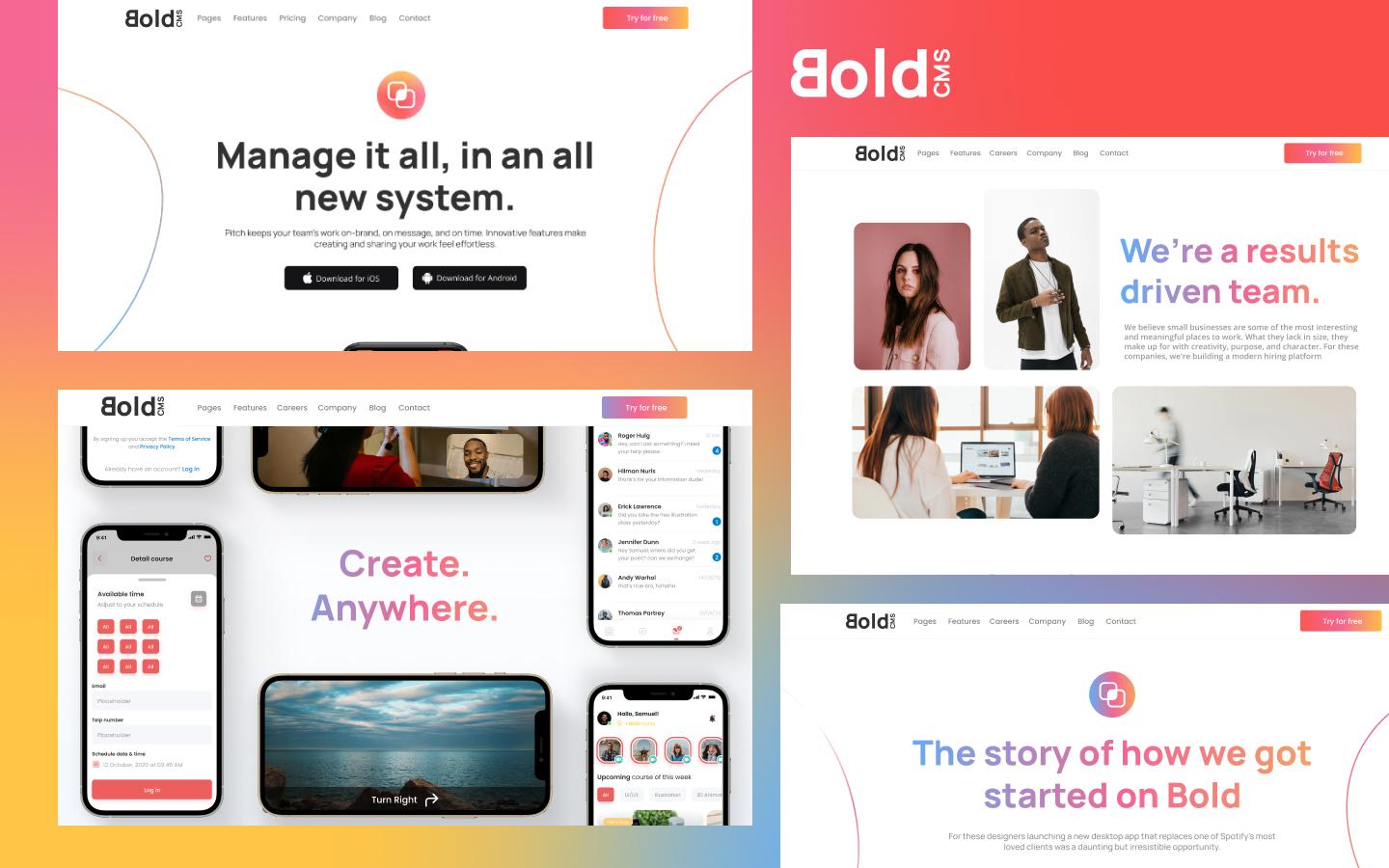 Bold CMS preview 5