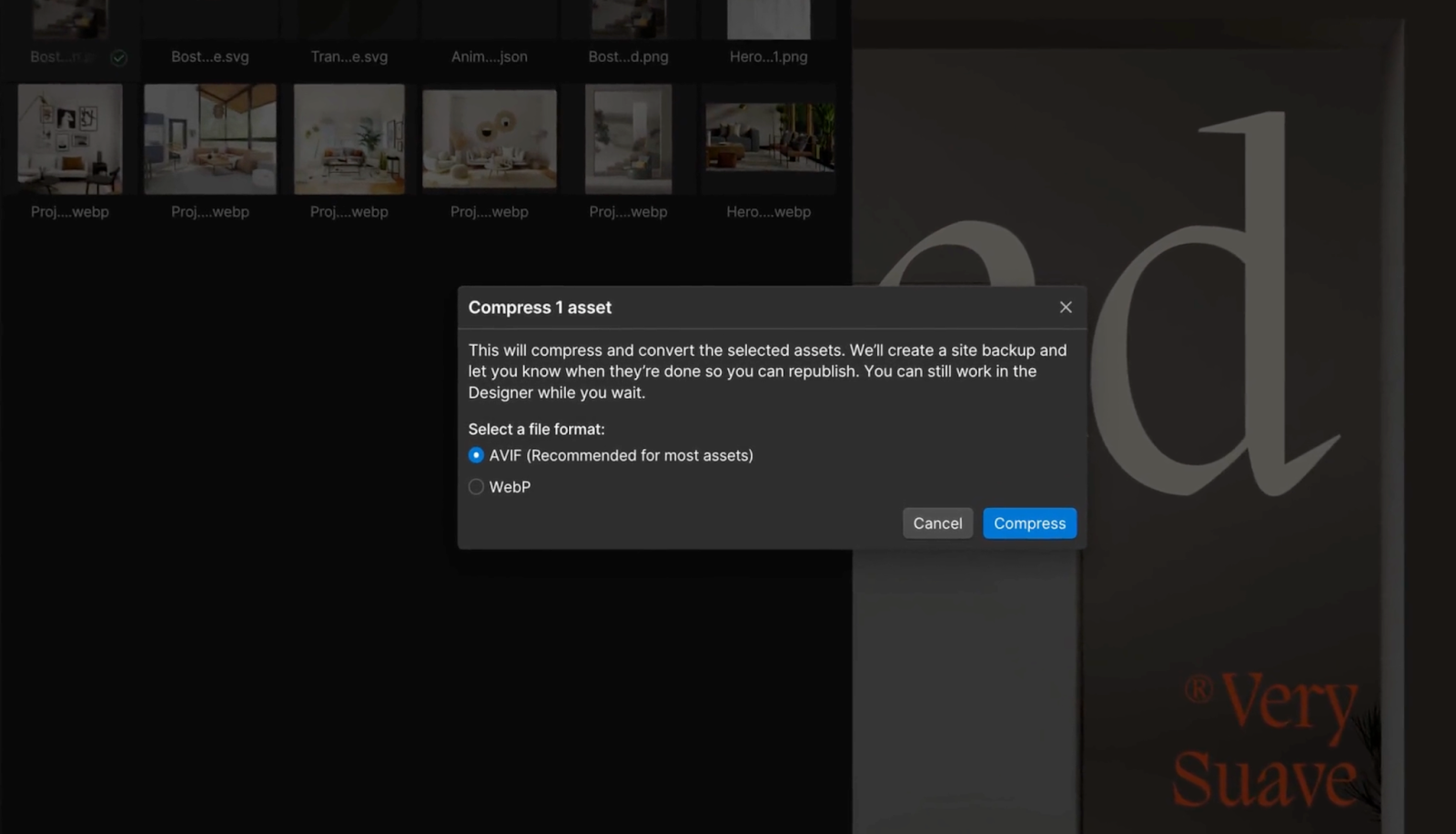 A window in webflow designer showing the added AVIF image support from previously only WebP