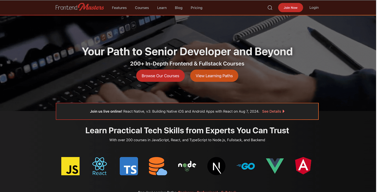 Your path to senior developer and beyond - a message on the header of Frontend Masters website