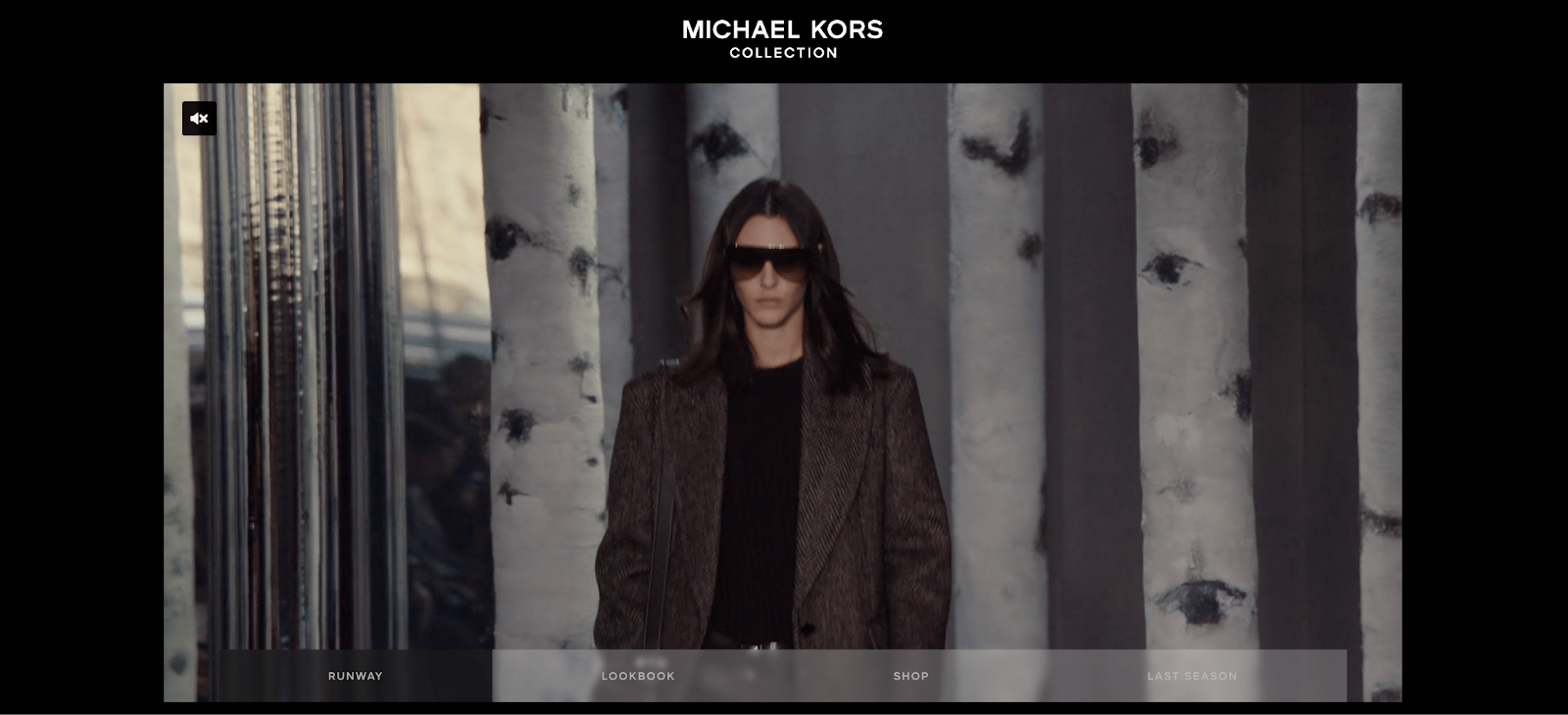 Michael Kors Fall/Winter Collection