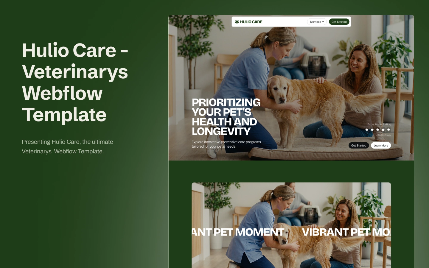 Hulio Care preview 1