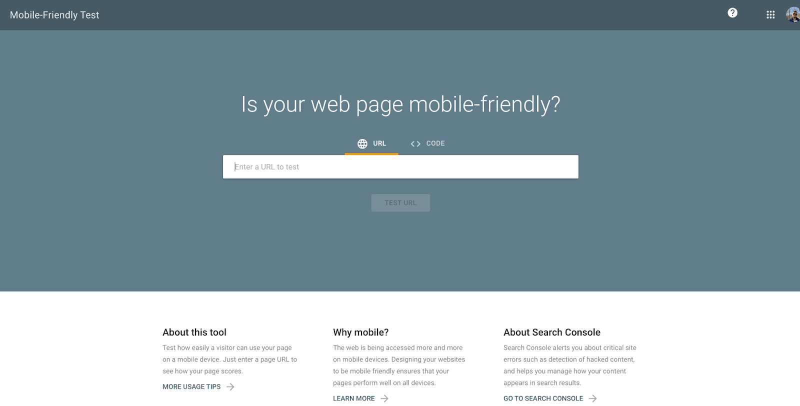 Google's Mobile friendly test homepage screenshot - it shows a url bar with a question above " Is your web page mobile-friendly?"